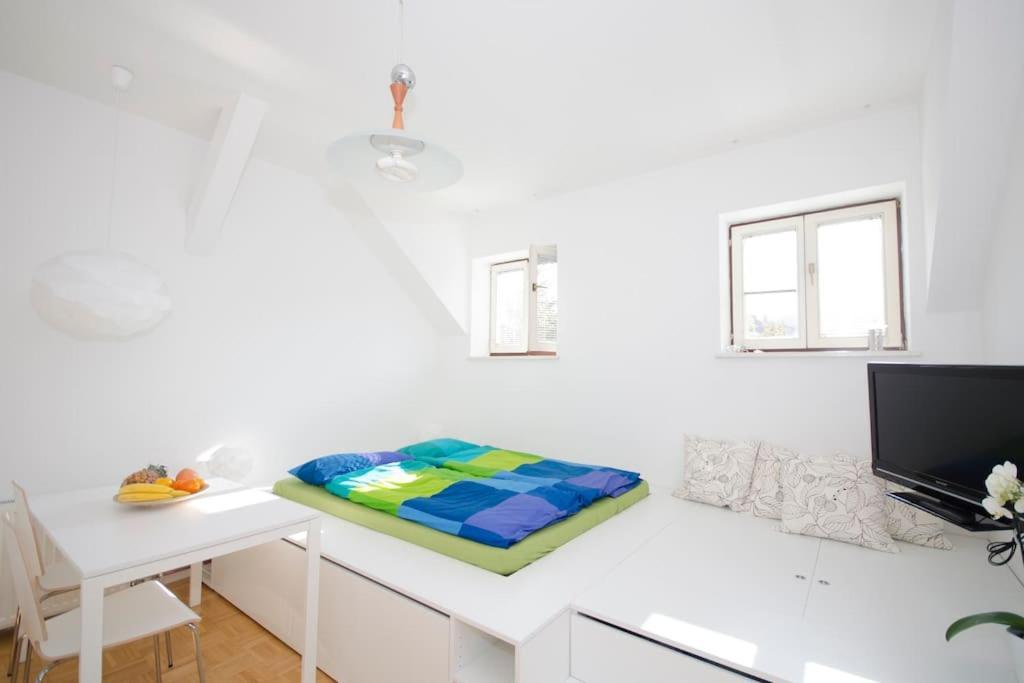 The Cute, Sunny Apartment In The Center +P Ljubljana Exterior foto