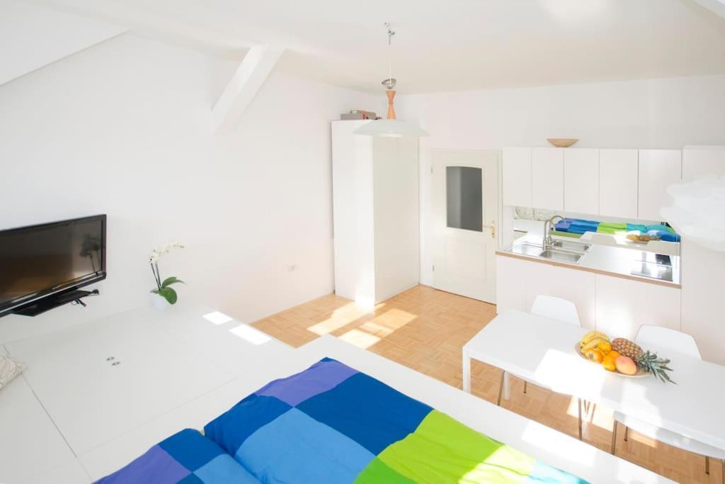 The Cute, Sunny Apartment In The Center +P Ljubljana Exterior foto